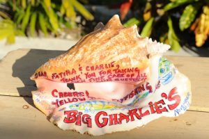 Conch Shell with Writing